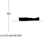 W21d0948 J1q1137-p26 Sy03 kF cv f239 b42 d.jpg